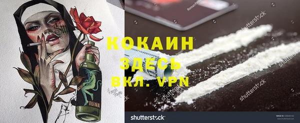молекула духа Горнозаводск